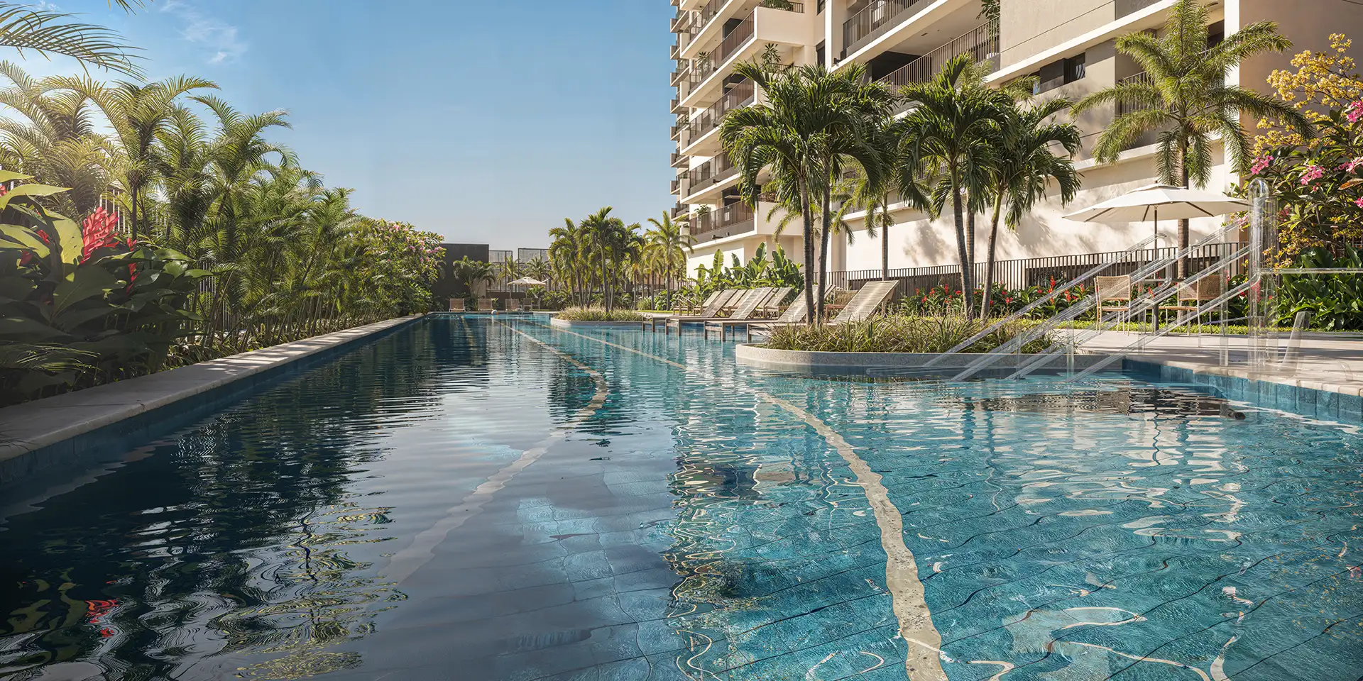 Perspectiva ilustrada da piscina adulto com raia de 25m e deck molhado com paisagismo de Benedito Abbud no Planalto Ibiti do IBITI Alto da Boa Vista